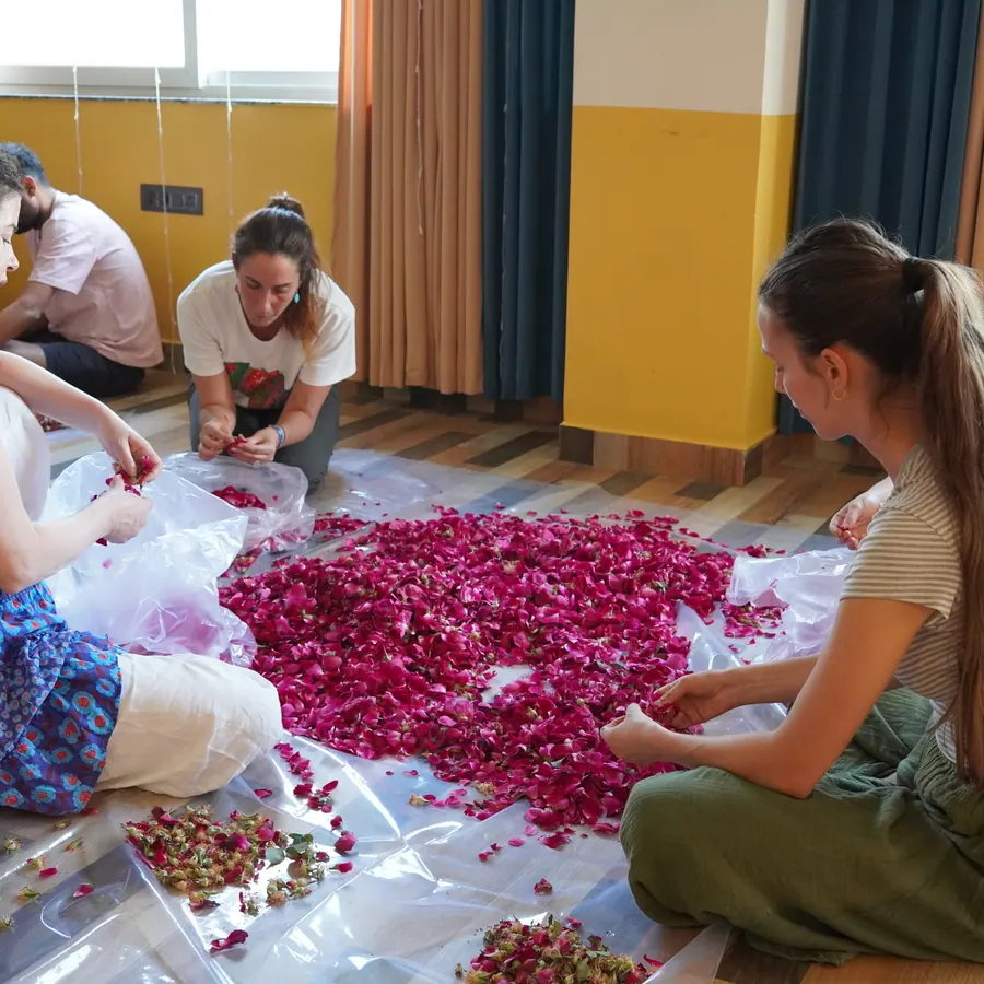 Sorting flower petals as shared seva